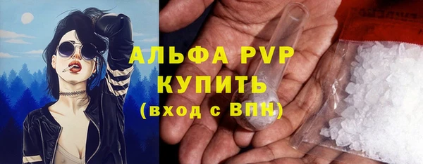 бошки Дубна