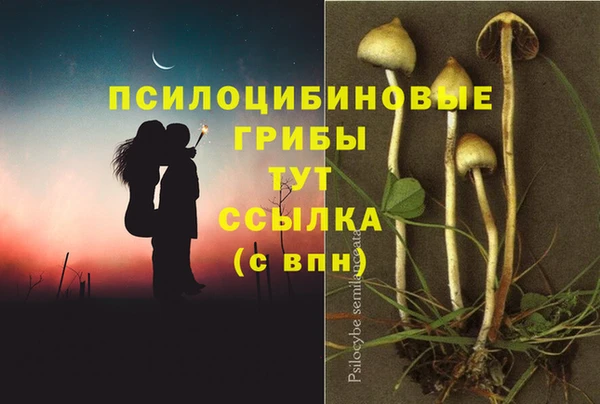 тгк Алексеевка