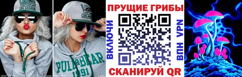 сколько стоит Слободской kraken ССЫЛКА Псилоцибиновые грибы Psilocybe